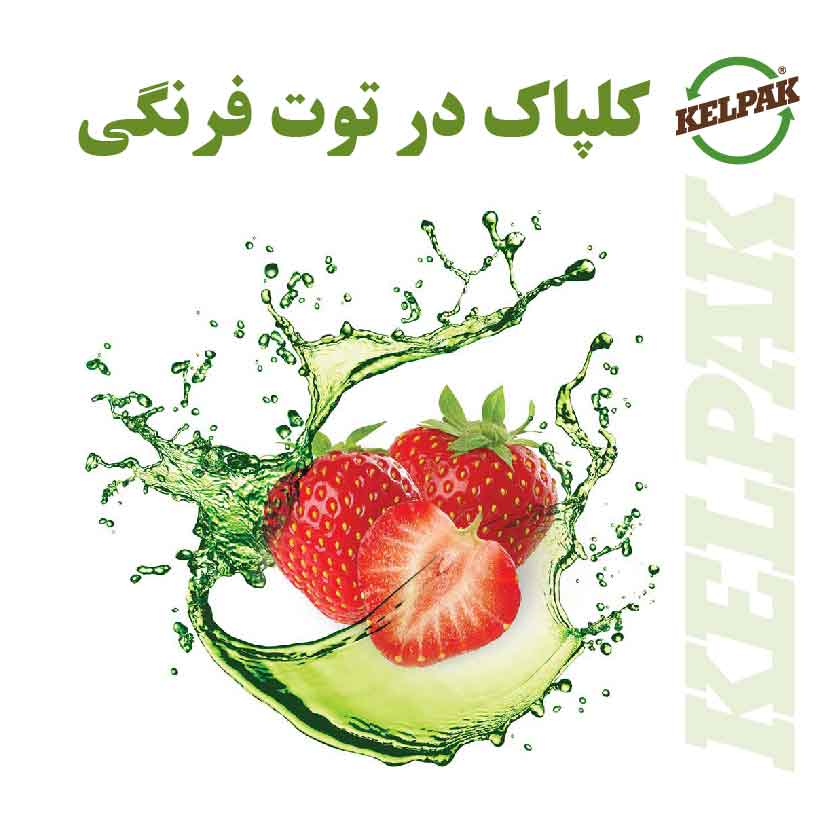 Kelpak in strawberries